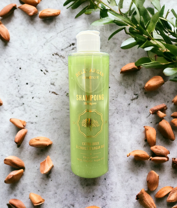SHAMPOING A L&rsquo;HUILE D&rsquo;ARGAN BIO 250ML